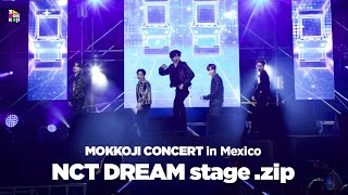 2023 MOKKOJI CONCERT in Mexico NCT DREAM stagezip [upl. by Anaele]