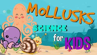 What is a Mollusk Invertebrates animals  Science for Kids [upl. by Agretha]