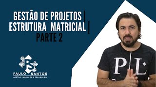 Gestão de Projetos  Estrutura Matricial  Parte 2 [upl. by Hamid]