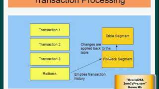 Oracle DBA  Rollback Segment [upl. by Nirahs988]