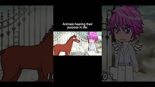 Animals Hearing Their Purpose In Life [upl. by Nitza939]