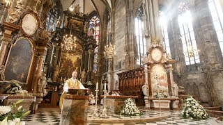 Christmette aus dem Wiener Stephansdom mit Dompfarrer Toni Faber [upl. by Allerus]