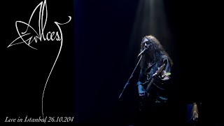 Concert Diary Alcest Live in Istanbul 26102024 [upl. by Hcaz269]