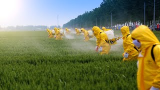 Of Pesticides and Prostate Cancer [upl. by Kcirtap700]