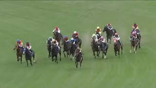 2024 JRA JAPAN KYOTO THE QUEEN ELIZABETH 2 CUP [upl. by Frendel986]