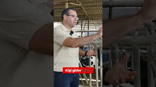 Holstein İneklerde Atoni Problemi büyükbaş veteriner çiftlik [upl. by Ogilvie]