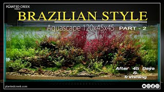 BRAZILIAN STYLE Aquascape 120P  After 45 Days  PART 2 brazilian aquascape plantedcreek [upl. by Enalb]