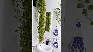 Decorando banheiro com plantas e limpeza Satisfatória limpeza faxina decoração plantas vlg [upl. by Atima]