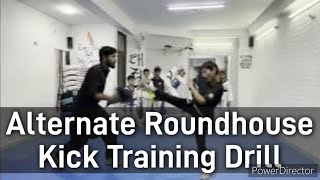 Taekwondo Alternate Roundhouse Kick Training Drill [upl. by Akcirderf]