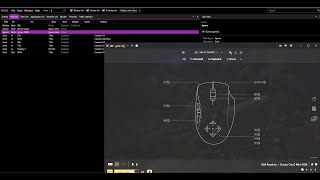 AIM ASSIST ON MnK  Destiny 2 REWASD BEST SETTINGS FREE XIM CONFIG [upl. by Miran855]