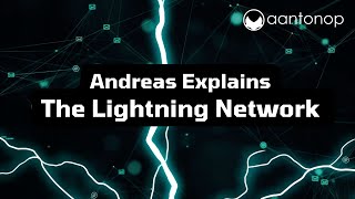 Lightning Network what is it why should I care what can I do with it Enjoy bitcoin like its 2013 [upl. by Akemor]