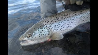 Flyfishing Iceland May 2016  Trout amp Char [upl. by Carisa]