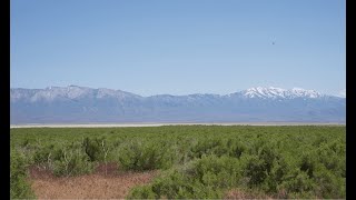 Exploring the Depauperate Salt Desert Scrub at Skull Valley [upl. by Anytsirk]