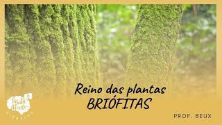 BRIÓFITAS  Reino das Plantas  Ensino Fundamental [upl. by Lansing]