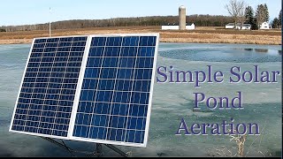 Pond Aeration System [upl. by Novyat]