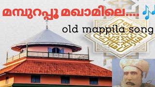 mampurappoo maqamile songold is gold mapila songmaqam song മമ്പുറപ്പൂ മഖാമിലെ മൗലാദ വീല വാസിലെ [upl. by Benis]