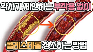 약사가 제안하는 부작용없이 콜레스테롤 청소하는 방법 오메가3와 최강 조합 영양소 대공개 [upl. by Kelli]