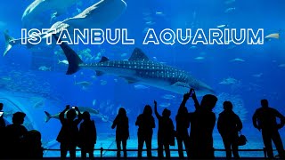 Istanbul Akvaryum Florya Thematic Aquarium Turkey [upl. by Goodden]