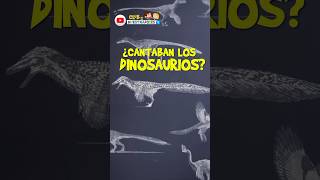 ¿LOS DINOSAURIOS CANTABAN COMO LOS PÁJAROS  CLUB DE INVESTIGADORES shorts  education nature [upl. by Ameekahs]