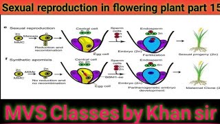 Sexual reproduction in flowering plant part 15 [upl. by Dyann]