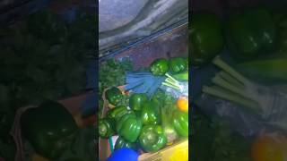 Dumpster Food Any Good Bell Pepper Recipes dumpsterdiving [upl. by Namrehs]