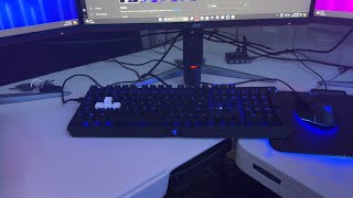 Razer Blackwidow Elite Yellow Switches Sound Test [upl. by Ferren]