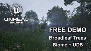 FREE Broadleaf Trees Biome Demo  Wind Slider  UDS  Unreal Engine 54  Ultra Realistic Wind UE5 [upl. by Annaiel412]