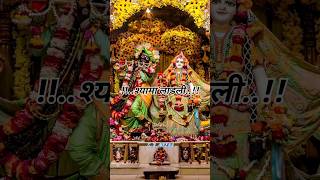 🌺राधे किशोरी दया करो  Radha Rani Song  shorts krishna madhavas [upl. by Bluefarb]