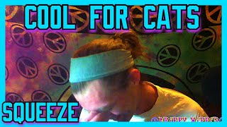 Cool For Cats Squeeze Reaction [upl. by Ginnie664]