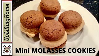 MINI MOLASSES COOKIES amp ICE CREAM SANDWICHES  UpLiftingHome [upl. by Gio]