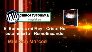 El Señor Es Mi Rey  Cristo no esta muerto  Remolineando Tutorial Trompeta [upl. by Septima]