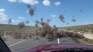 Tumbleweed Dust Devil [upl. by Yreffeg587]