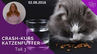 Katzenfutter🐱 Krank gefüttert  Wie gesund ist Dein Katzenfutter [upl. by Nerti473]