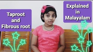 Taproot and Fibrous root explained in Malayalam  Episode 6 [upl. by Marlon]