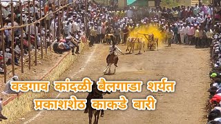 वडगाव कांदळी बैलगाडा शर्यत  vadgaon kandali bailgada sharyat [upl. by Etnoel]