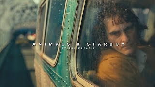 Animals x Starboy  Full Version  Aviral Kapasia  SlowedReverb [upl. by Piegari]