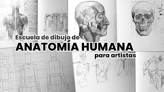 Cómo dibujar el cuerpo humano Paso a Paso [upl. by Rehportsirhc456]