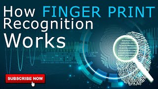 How Fingerprint Recognition Works   Biometric Devices  Star Link [upl. by Japha]