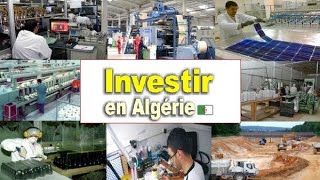 Live spécial « investir au pays » avec Fodil M [upl. by Amehr]