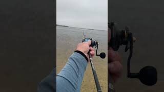 Piscifun Alijoz size 300 on a GooFish slow pitch rod casting a jig piscifun casting [upl. by Werda]