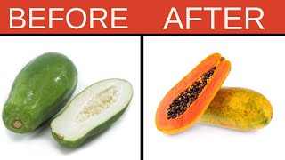 Chef on How to Ripen Papaya Naturally at Home [upl. by Anaitak]