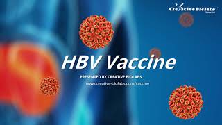 HBV Vaccine  Creative Biolabs [upl. by Rodgiva]