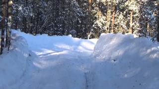 Rally Finnskog 2015 SS 1 og 4 cam4 [upl. by Ecerahc882]