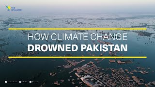 Climate Change and the Pakistan Floods One Year Later [upl. by Delores]