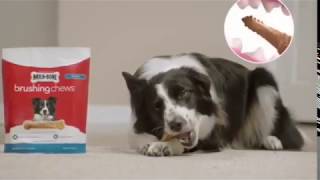 Milk Bone Commercial for Brushing Chews [upl. by Annahpos221]