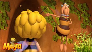 Terrible teacher  Maya the bee🐝🍯🐝 [upl. by Norby]