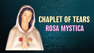 Chaplet of Tears Rosary  Rosa Mystica [upl. by Carmella]