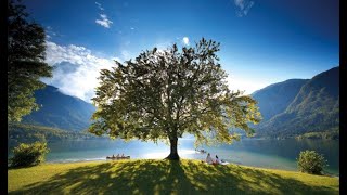 Bohinj Lake  Slovenia  unforgettable mysterious and charming [upl. by Lesko726]