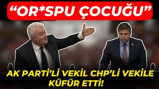 AK Partili vekil CHPli vekile küfür etti Orspu Çocuğu [upl. by Ailb]