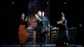 Tablao Flamenco Casa Ana [upl. by Naarah842]